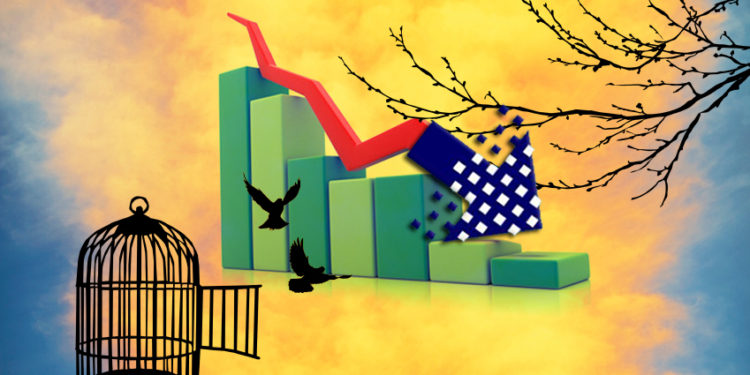 Kuş Yuvadan Uçuyor – Bölüm 1