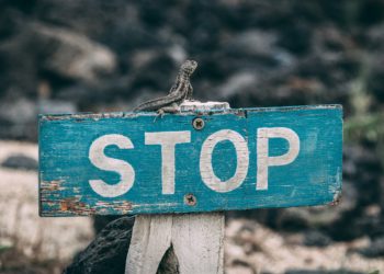 Türk Telekom’a Ceza, Abonelere Zam